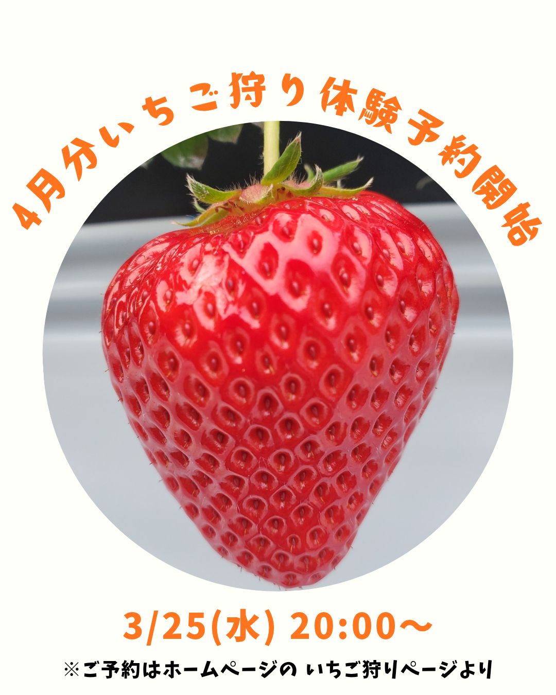 本日20:00～予約開始！