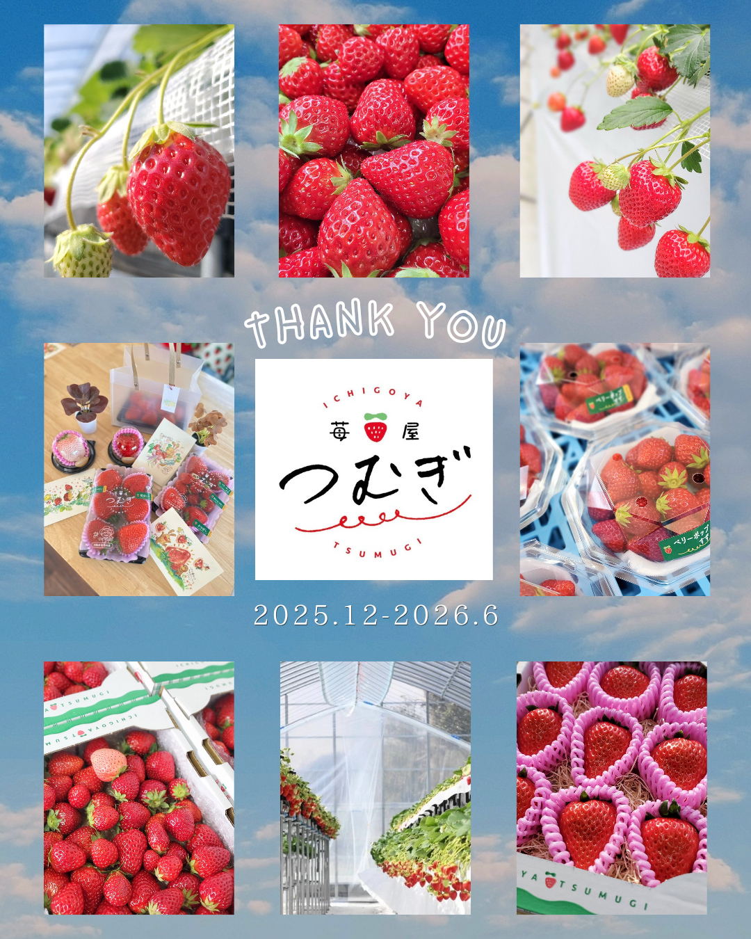 販売終了しました